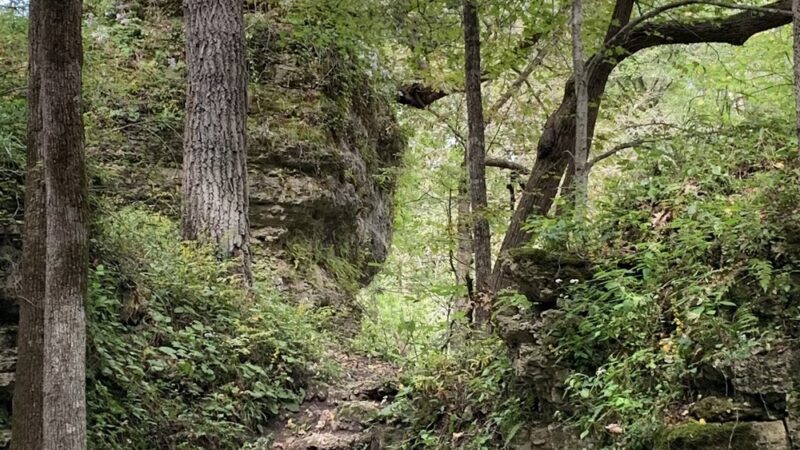 Backbone State Park - Dundee, IA