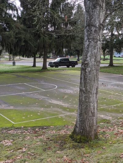 Dundee Billick Park - Dundee, OR