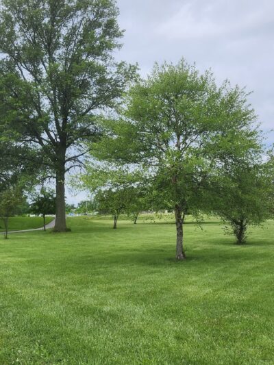 Dunkirk City Park - Dunkirk, IN