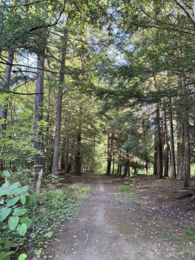 Parking for JCC's College Park - Dunkirk, NY
