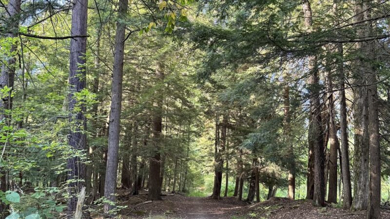 Parking for JCC's College Park - Dunkirk, NY