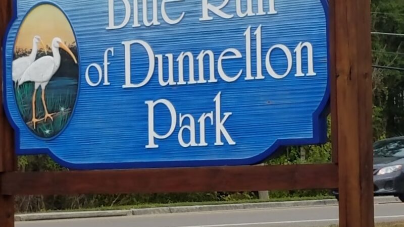 Blue Run of Dunnellon Park - Dunnellon, FL