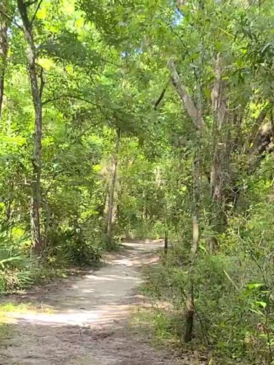 Blue Run of Dunnellon Park - Dunnellon, FL