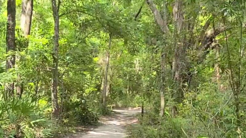 Blue Run of Dunnellon Park - Dunnellon, FL