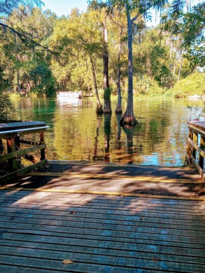 Blue Run of Dunnellon Park - Dunnellon, FL