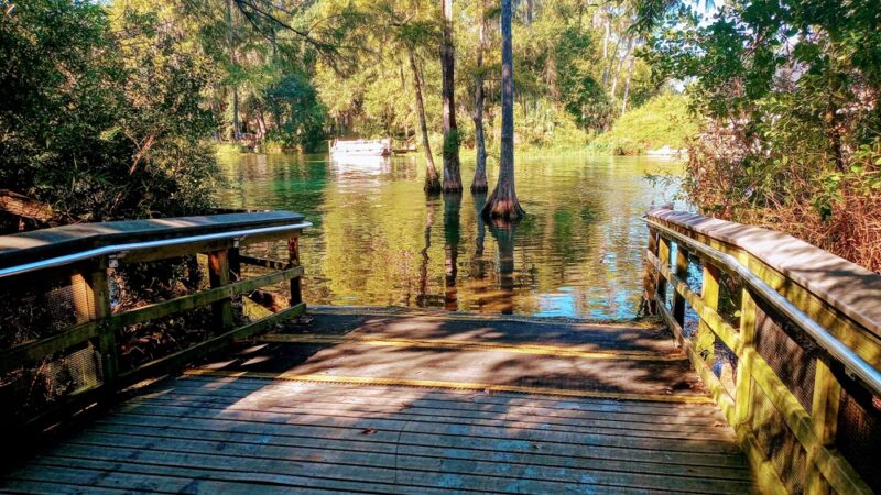 Blue Run of Dunnellon Park - Dunnellon, FL