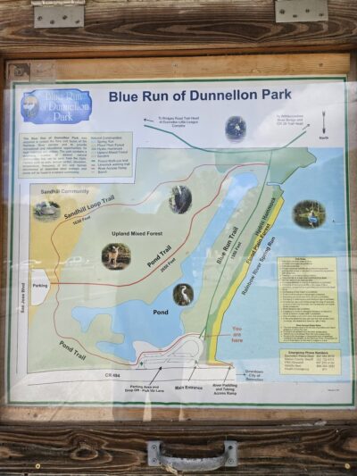 Blue Run of Dunnellon Park - Dunnellon, FL