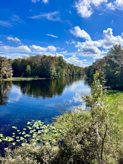 Blue Run of Dunnellon Park - Dunnellon, FL
