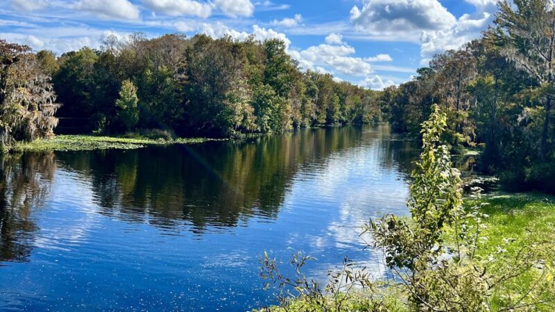 Blue Run of Dunnellon Park - Dunnellon, FL
