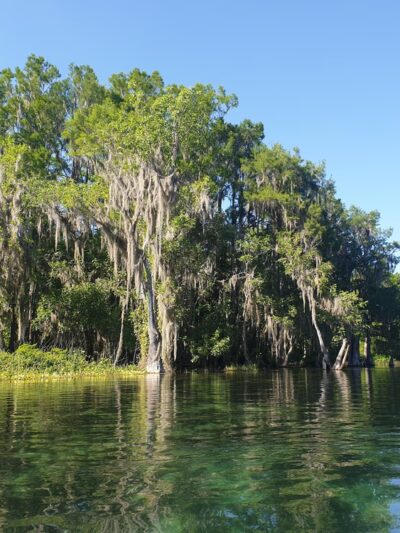 Chaplin A. Dinkins III Memorial Park - Dunnellon, FL