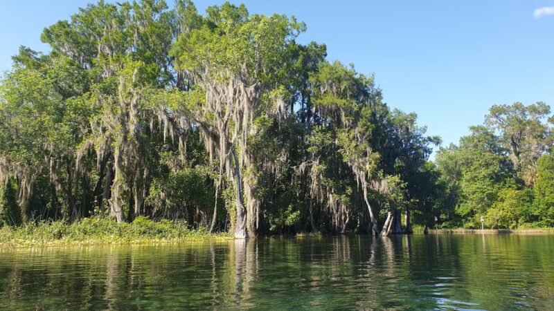 Chaplin A. Dinkins III Memorial Park - Dunnellon, FL