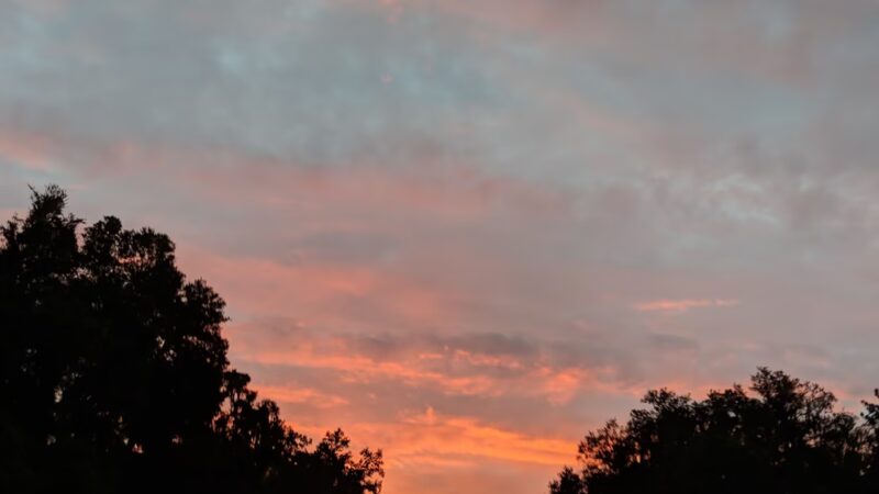 Citronelle Park - Dunnellon, FL