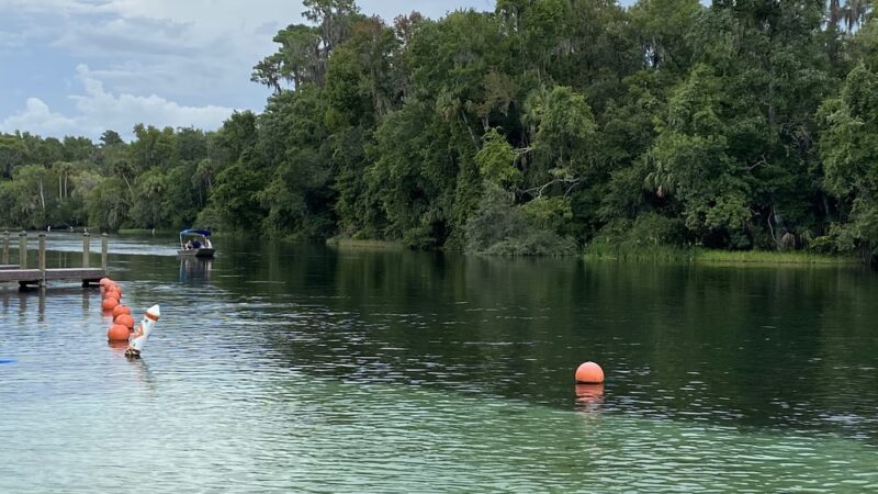 KP Hole Park - Dunnellon, FL