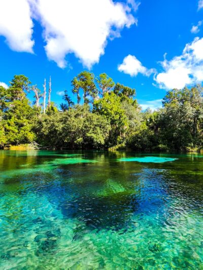 Rainbow Springs State Park - Dunnellon, FL