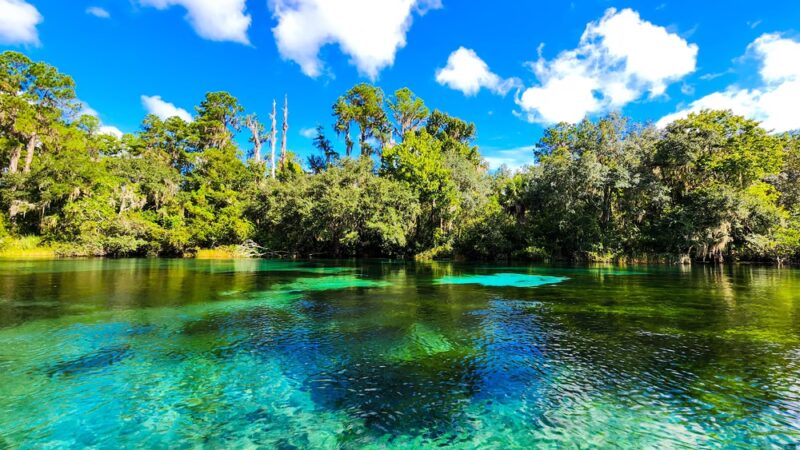 Rainbow Springs State Park - Dunnellon, FL