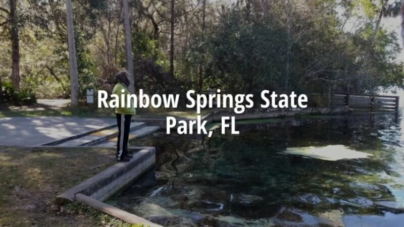 Rainbow Springs State Park - Dunnellon, FL