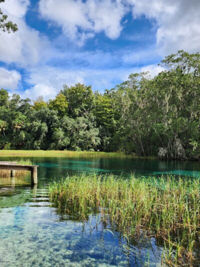 Rainbow Springs State Park - Dunnellon, FL