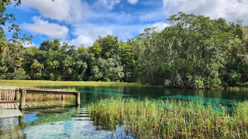 Rainbow Springs State Park - Dunnellon, FL