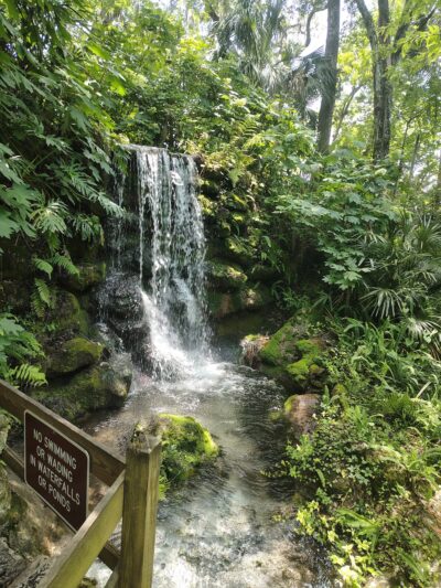 Rainbow Springs State Park - Dunnellon, FL