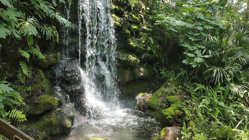 Rainbow Springs State Park - Dunnellon, FL