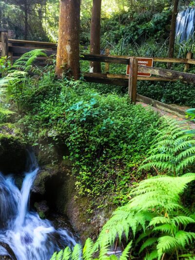 Rainbow Springs State Park - Dunnellon, FL