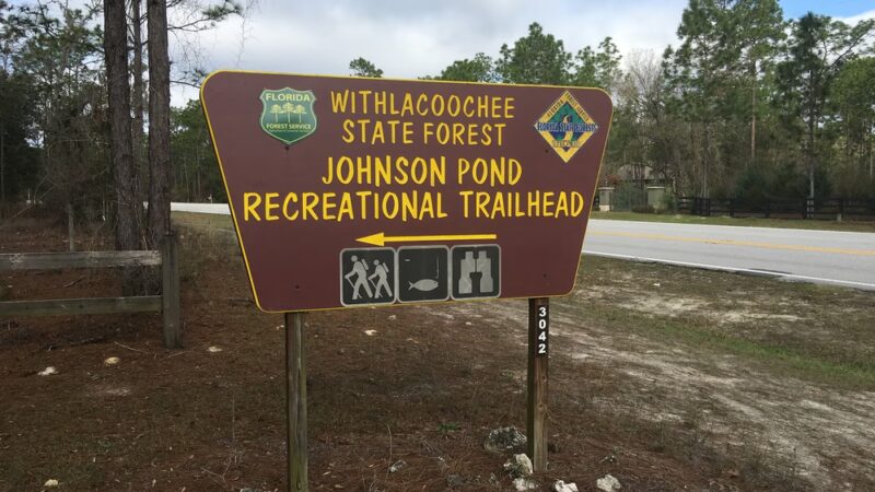 Withlacoochee State Forest - Johnson Pond Recreational Trailhead - Dunnellon, FL