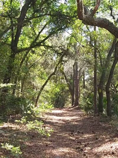 Withlacoochee State Forest - Johnson Pond Recreational Trailhead - Dunnellon, FL