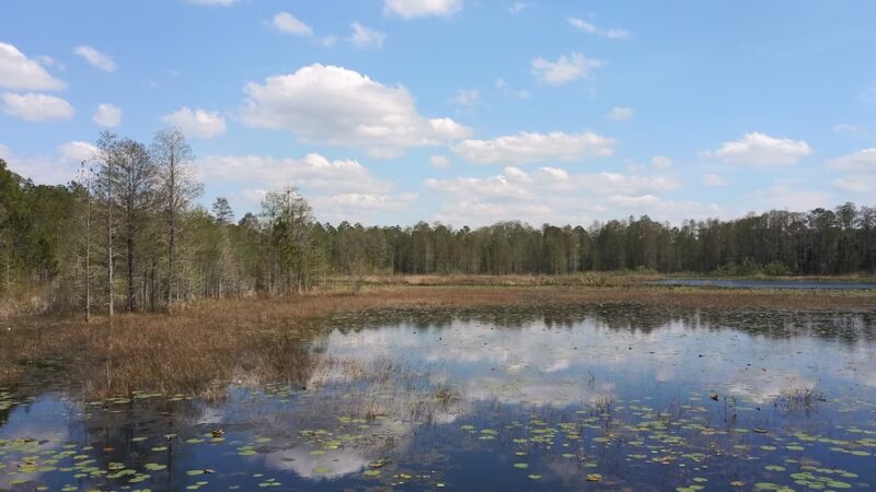Withlacoochee State Forest - Johnson Pond Recreational Trailhead - Dunnellon, FL