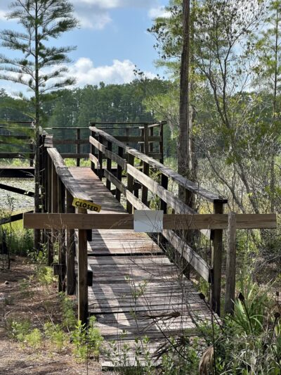 Withlacoochee State Forest - Johnson Pond Recreational Trailhead - Dunnellon, FL
