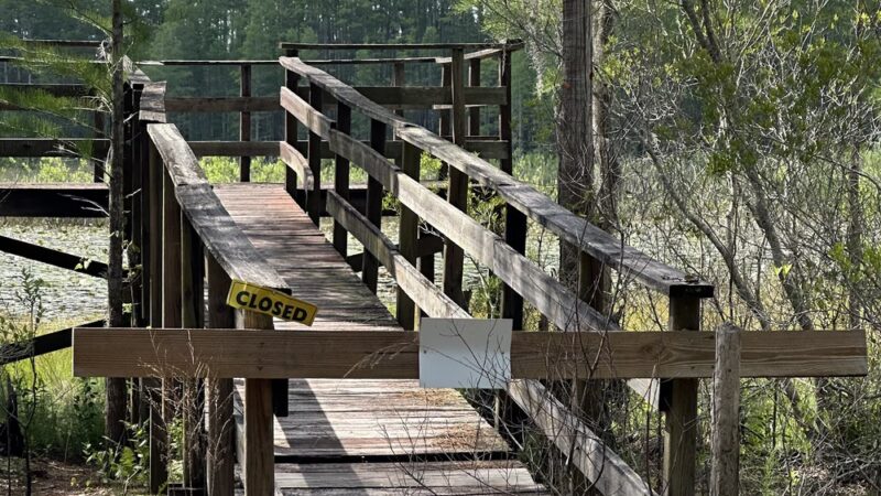 Withlacoochee State Forest - Johnson Pond Recreational Trailhead - Dunnellon, FL