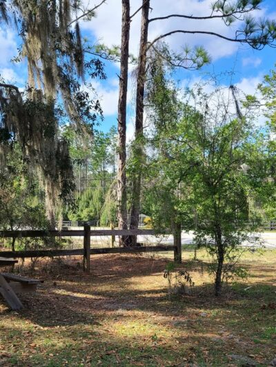 Withlacoochee State Forest - Johnson Pond Recreational Trailhead - Dunnellon, FL