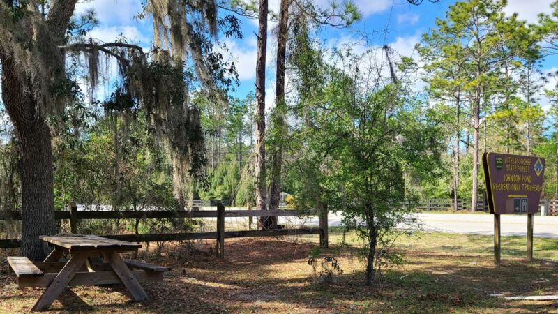 Withlacoochee State Forest - Johnson Pond Recreational Trailhead - Dunnellon, FL