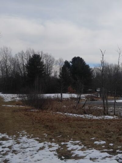 Bass Pond - Dunstable, MA