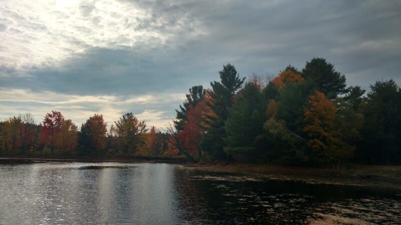 Bass Pond - Dunstable, MA