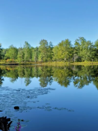 Dunstable Rural Land Trust - Dunstable, MA