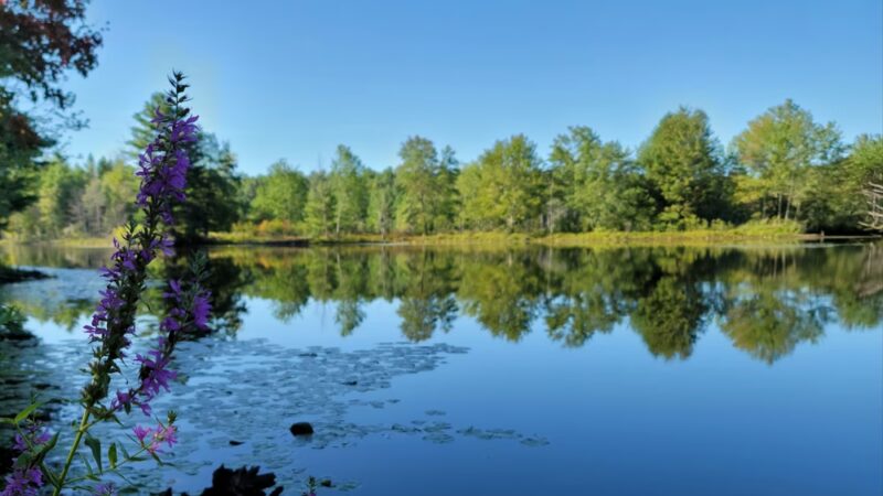 Dunstable Rural Land Trust - Dunstable, MA