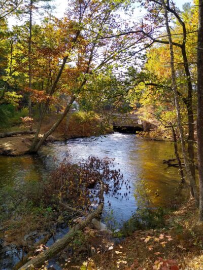 Spaulding-Proctor Reservation - Dunstable, MA