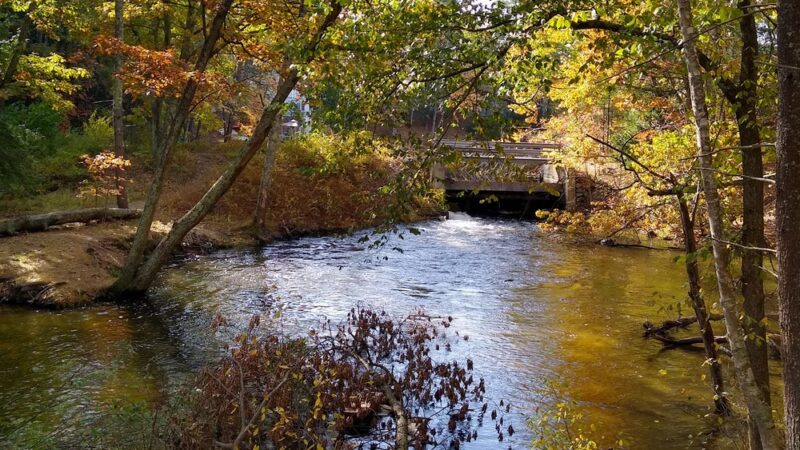 Spaulding-Proctor Reservation - Dunstable, MA