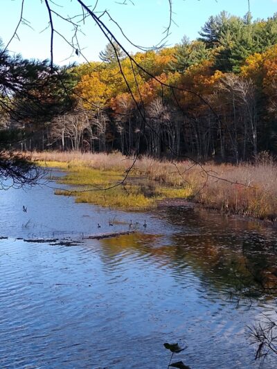 Spaulding-Proctor Reservation - Dunstable, MA