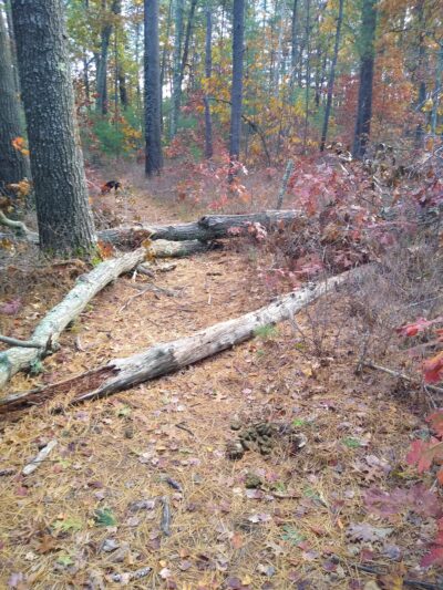 Spaulding-Proctor Reservation - Dunstable, MA