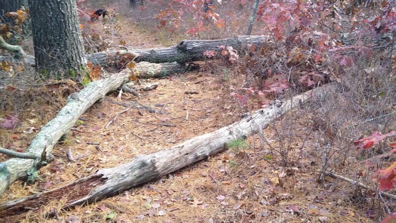 Spaulding-Proctor Reservation - Dunstable, MA