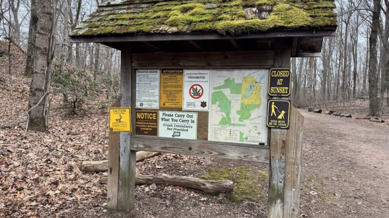 Miller's Pond State Park (Parking Lot) - Durham, CT