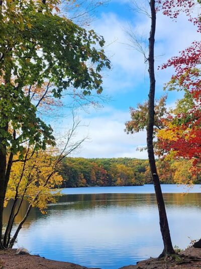 Millers Pond State Park - Durham, CT