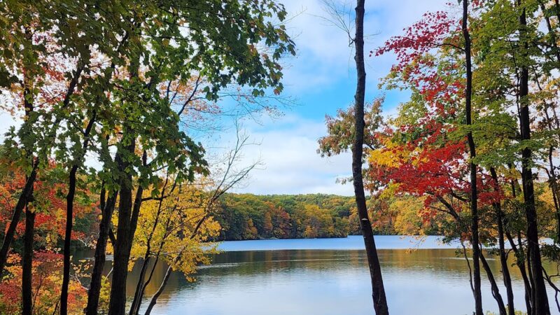 Millers Pond State Park - Durham, CT
