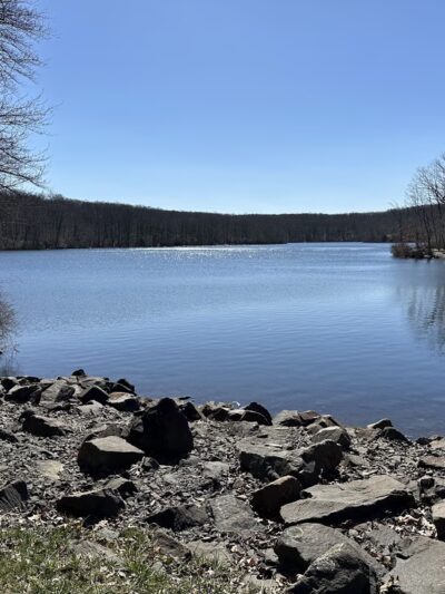 Millers Pond State Park - Durham, CT