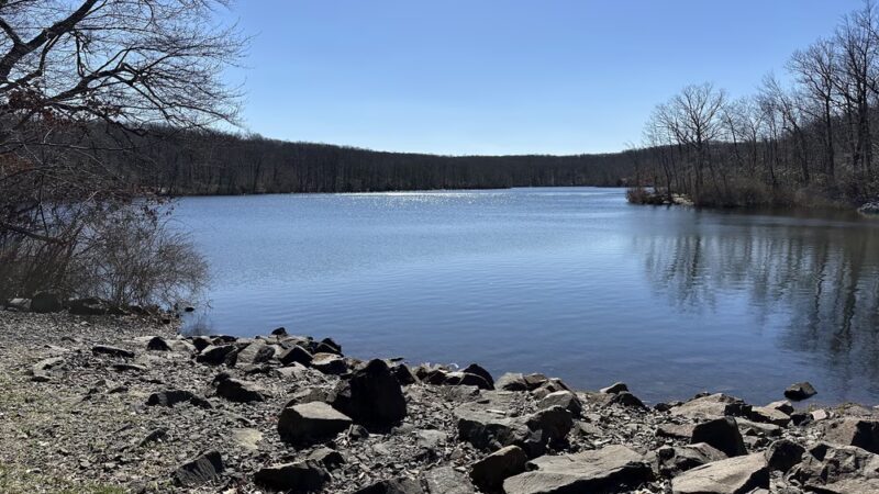 Millers Pond State Park - Durham, CT