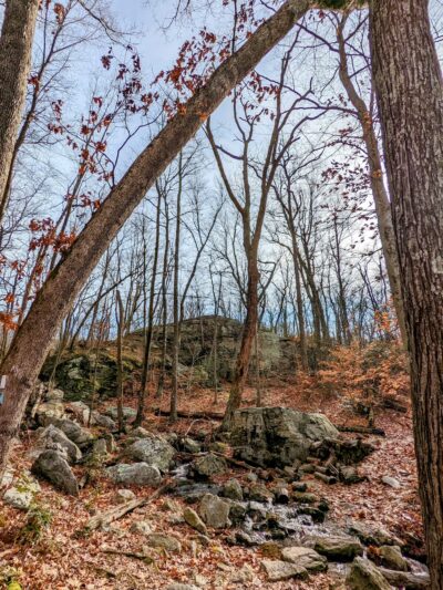 Millers Pond State Park - Durham, CT