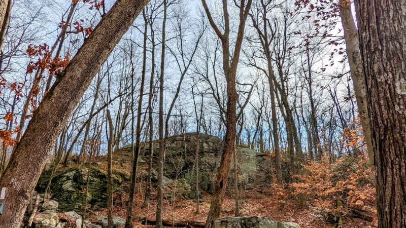 Millers Pond State Park - Durham, CT