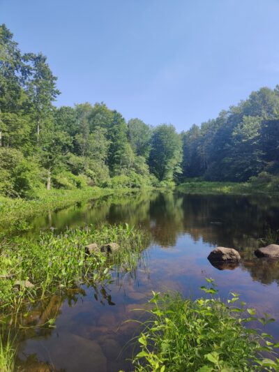 Runaround Pond Recreation Area - Durham, ME