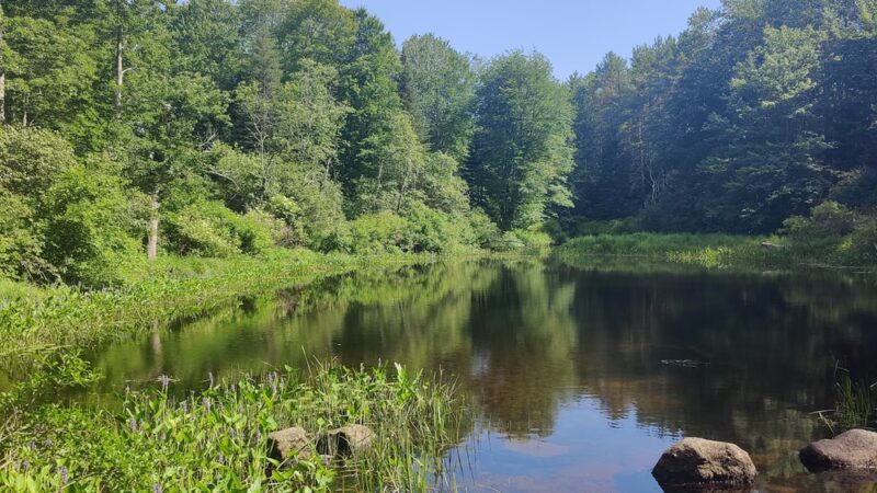 Runaround Pond Recreation Area - Durham, ME